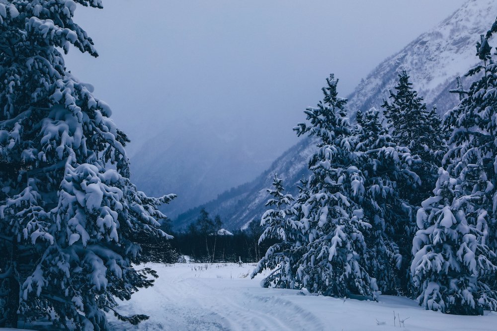Photograph by Светлана Воскресенская