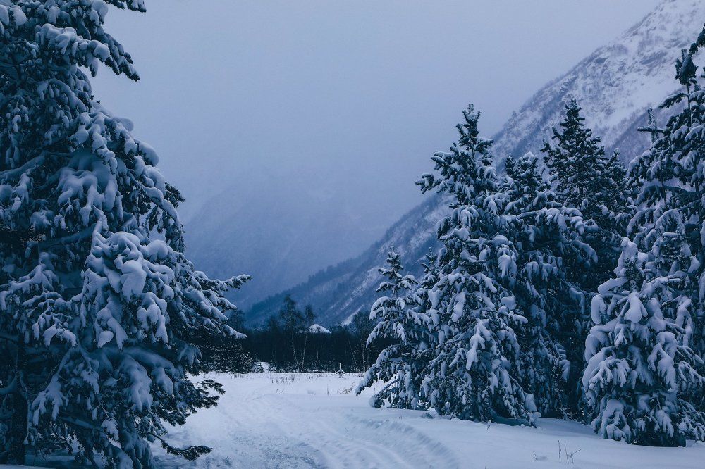 Photograph by Светлана Воскресенская