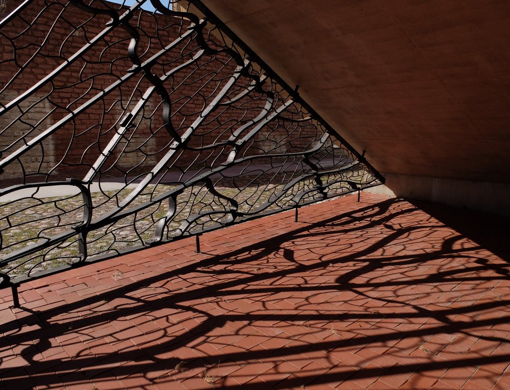 Крыло бабочки