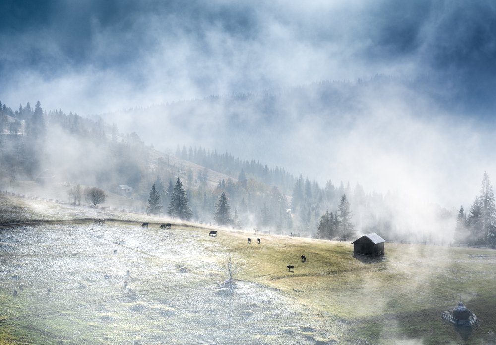 Photograph by Julia Opilat