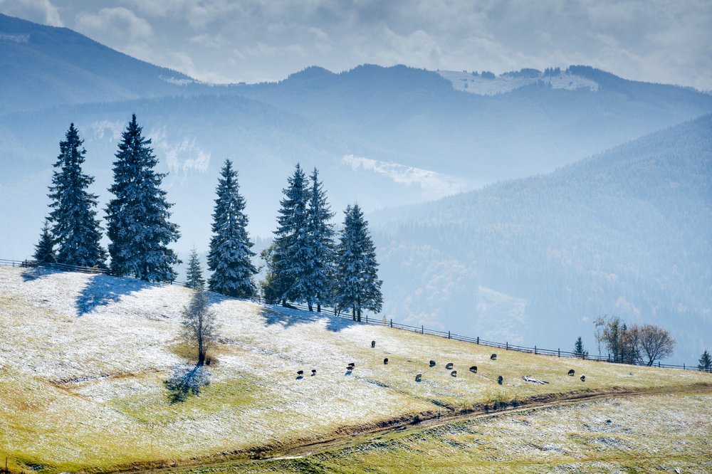 Photograph by Julia Opilat