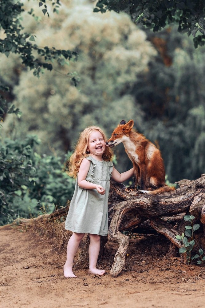 Встреча лисят