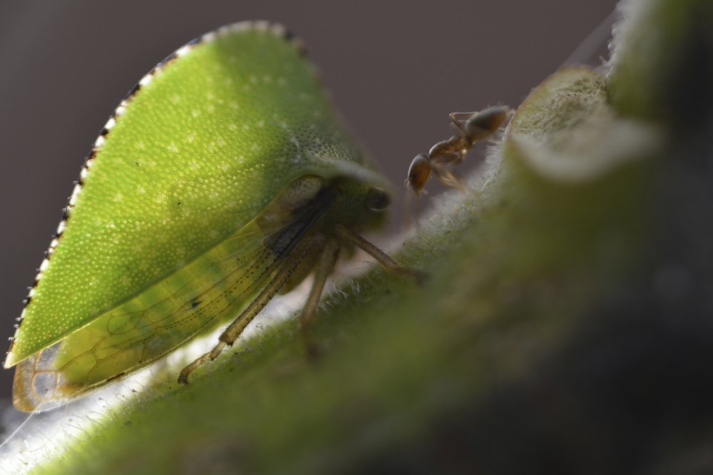 Photograph by Daniela Aguirre Torres