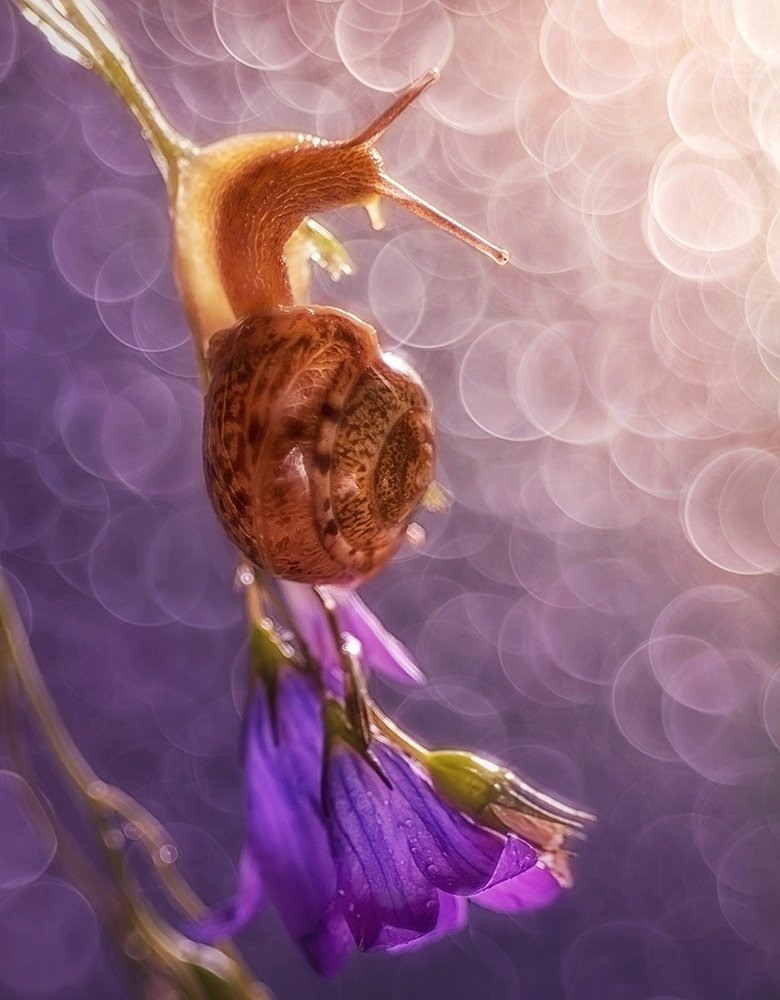 Летний вечер