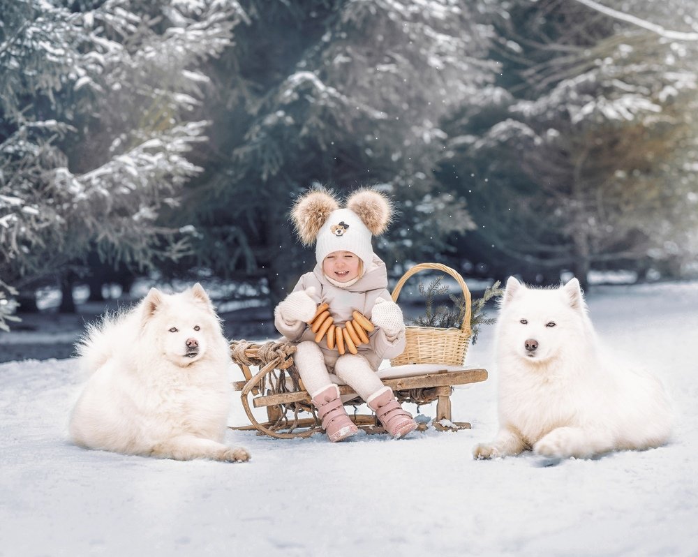 Photograph by Полина Слива