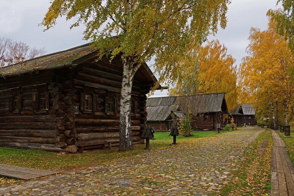 Любимая улица