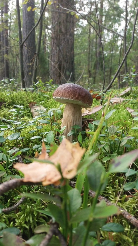 Photograph by Vladislavas Lavrinovicius