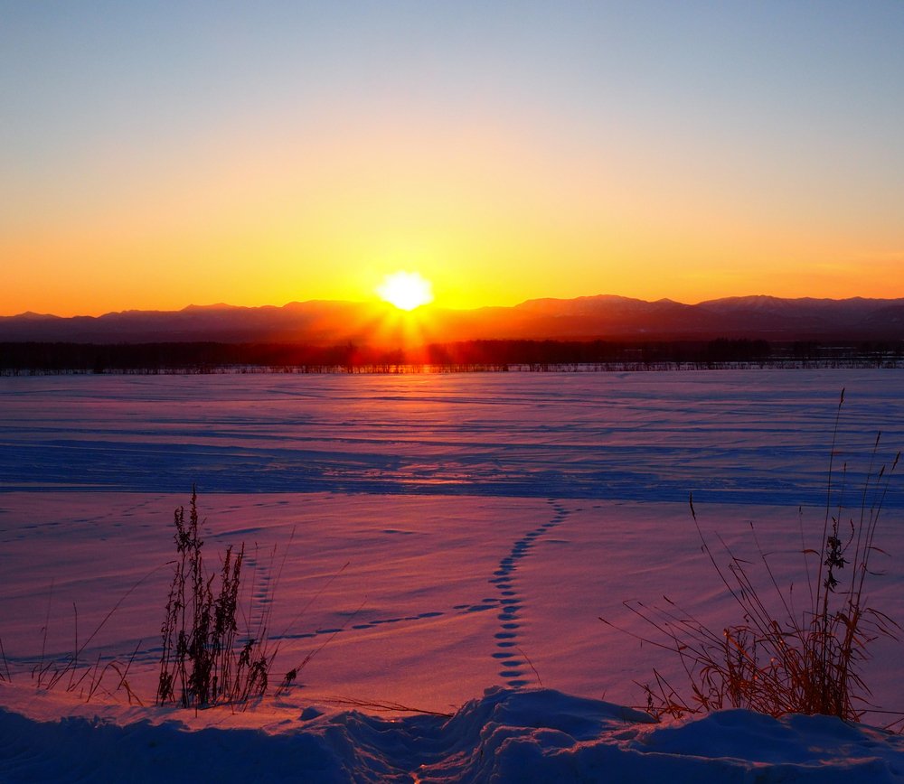 Зимнее солнце