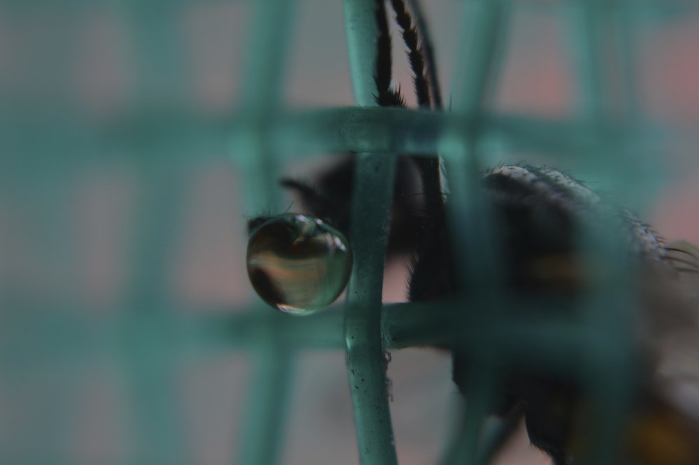 Photograph by Daniela Aguirre Torres