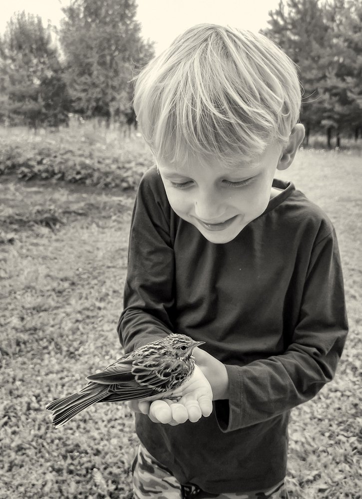 Photograph by Алексей Окунеев