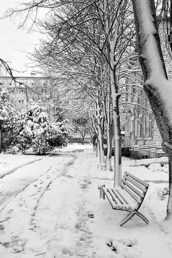 Photograph by Владимир Харчиков