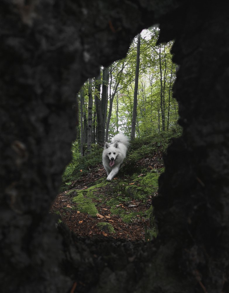 Photograph by Михайло Федишин