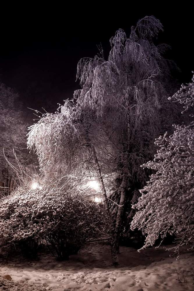 Заколдованный парк