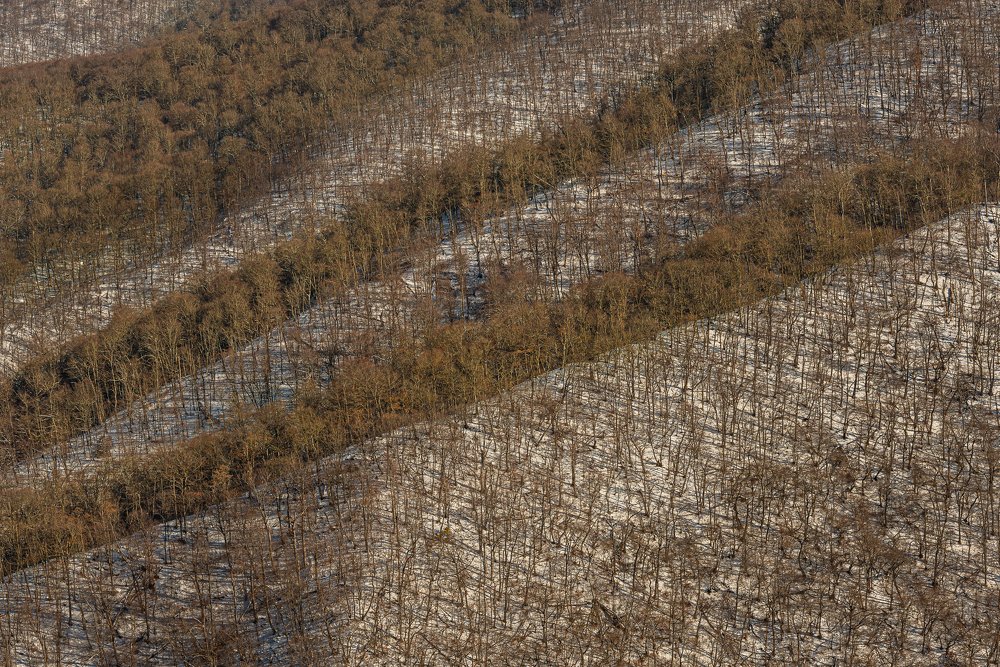 Photograph by Helen Vasilieva