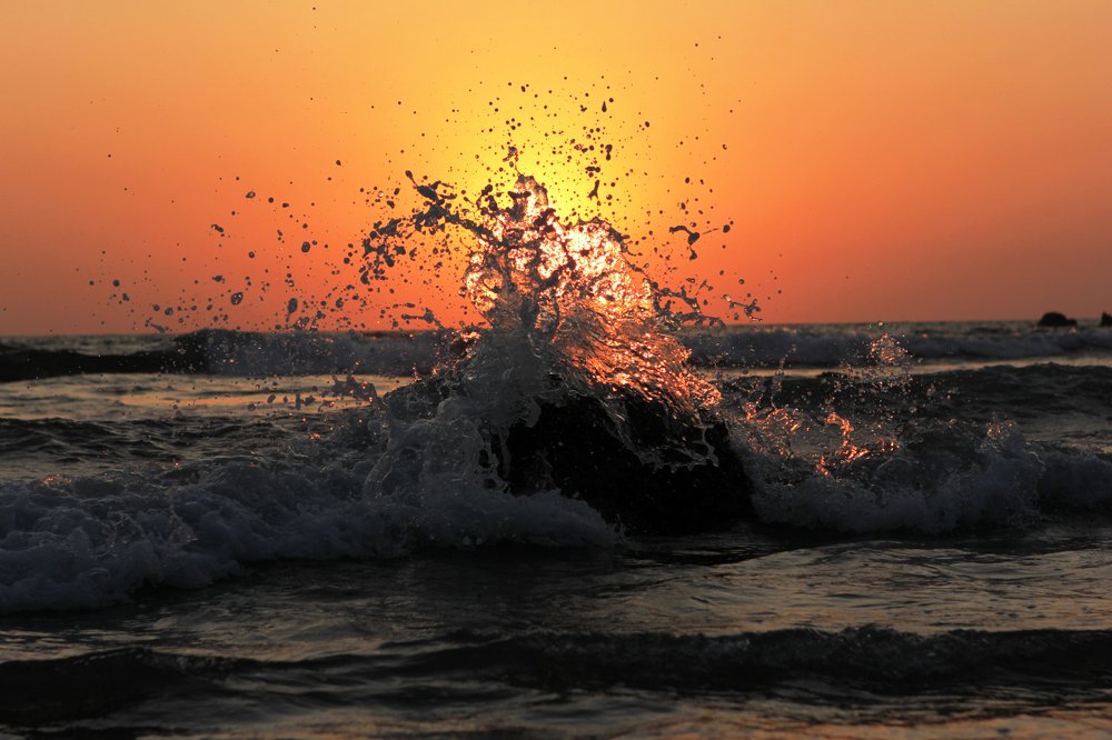 Photograph by Мария Авдеенко