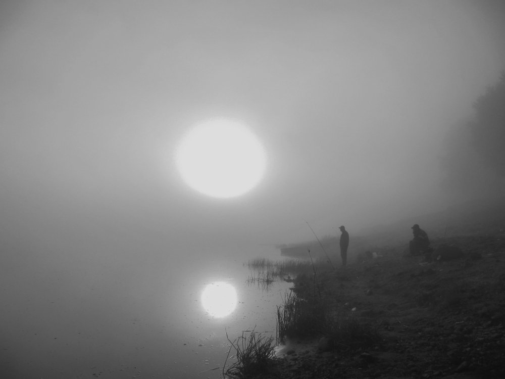 Photograph by Андрей