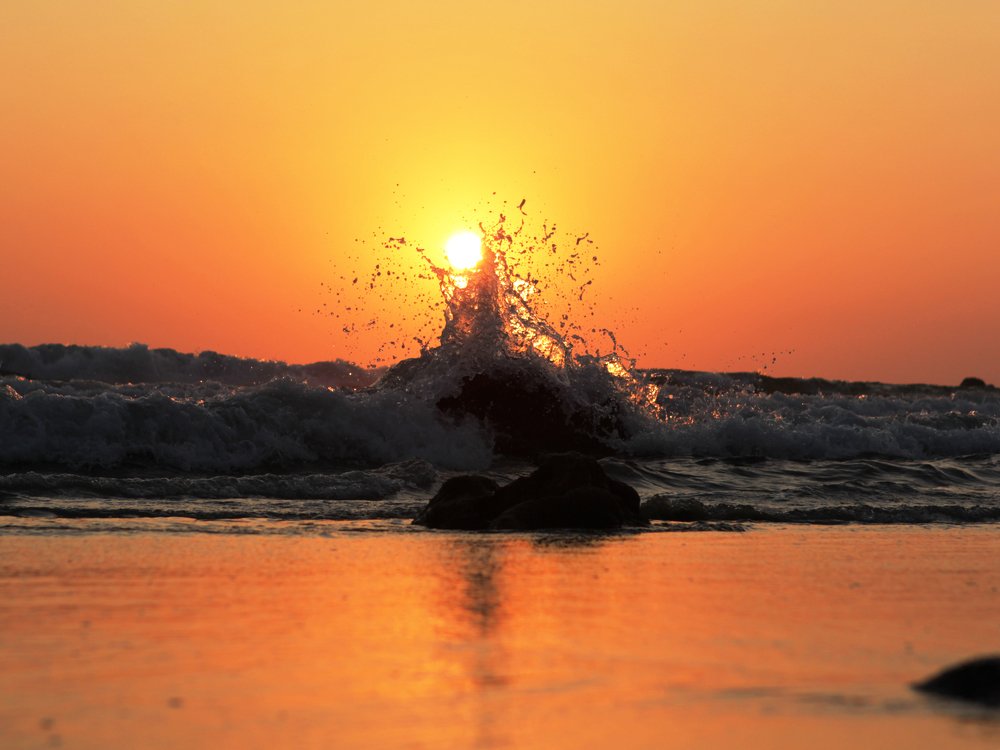 Photograph by Мария Авдеенко