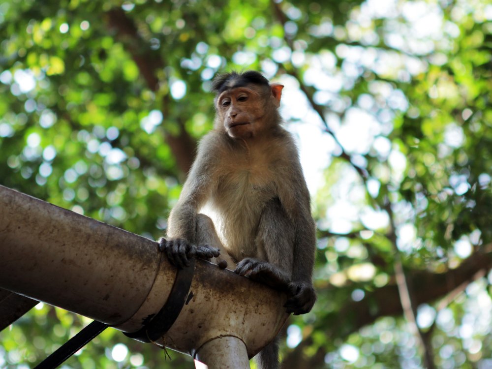 Photograph by Мария Авдеенко