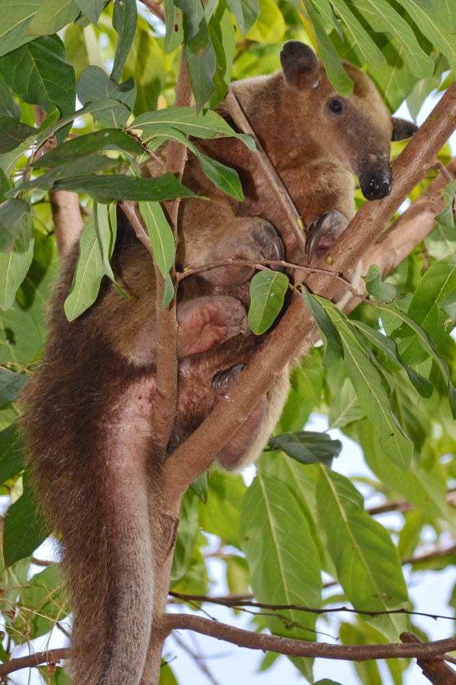 Photograph by Marzio Fattorini