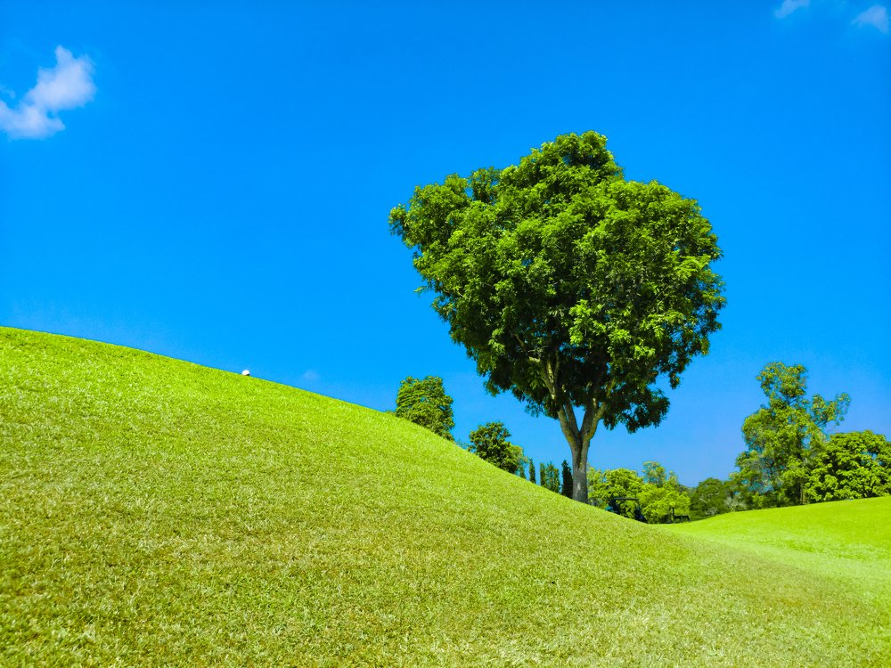 Photograph by Gio Amolat