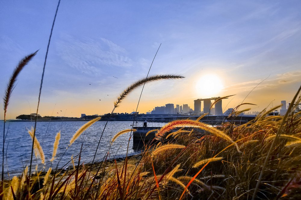 Photograph by Gio Amolat