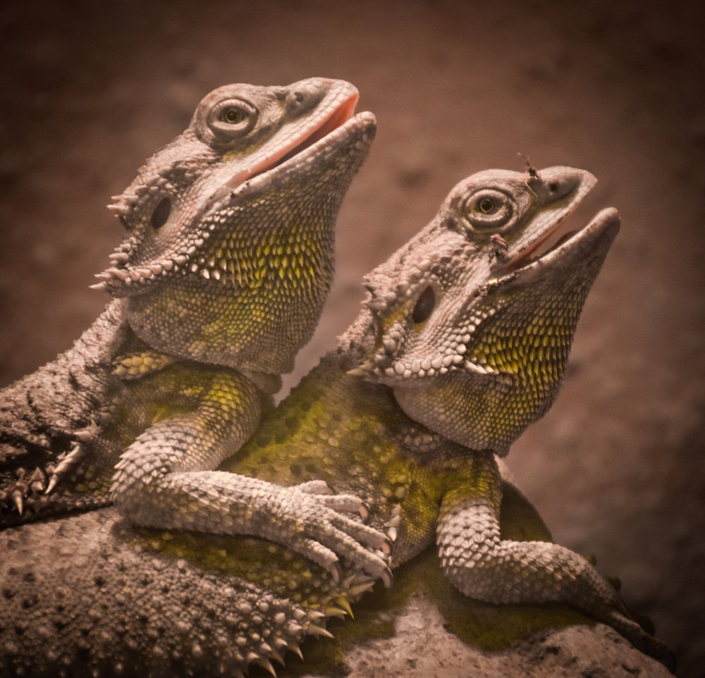 Photograph by Joyal Francis