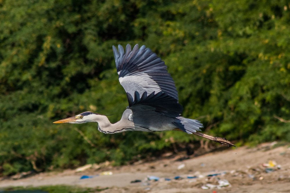 Photograph by Zinda Shaik Mohideen M