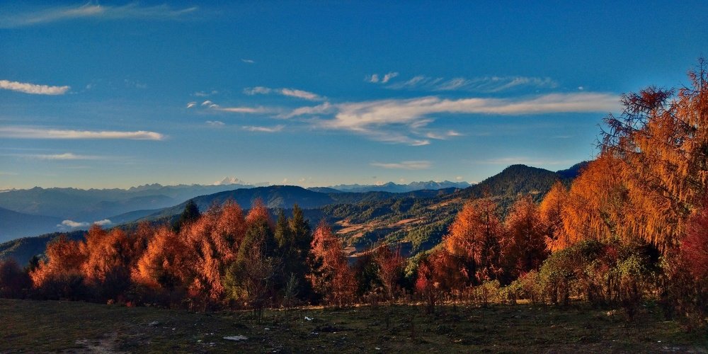Photo #4308057