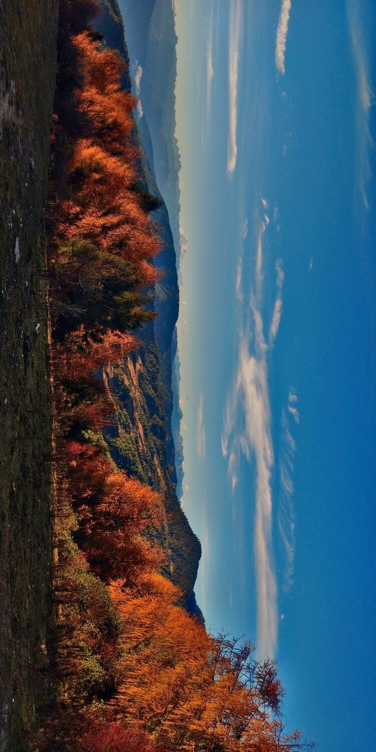 Photo #4308057