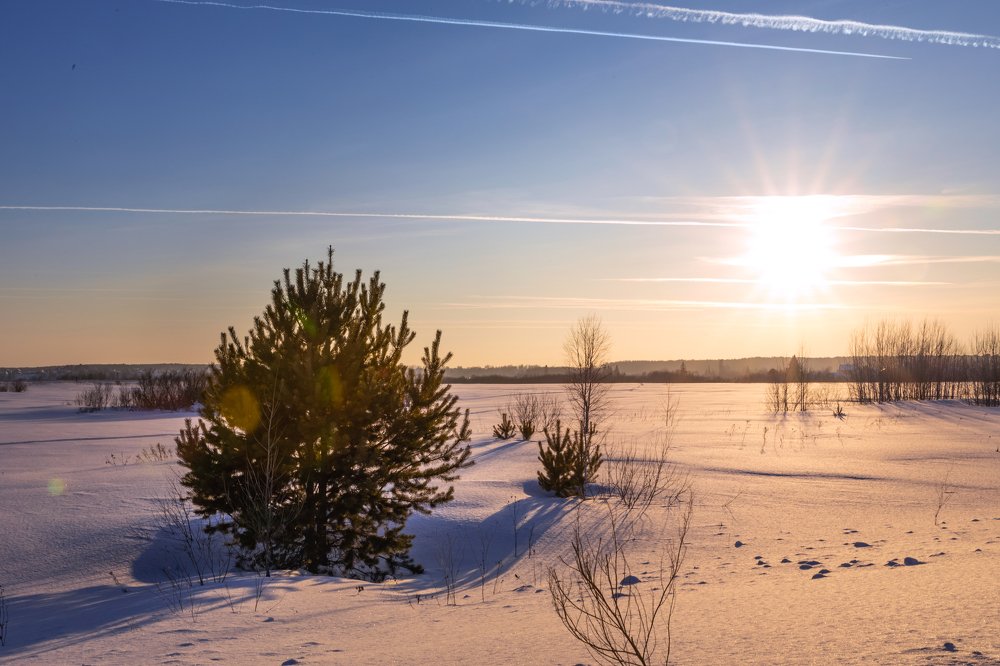 Photograph by Наталья Колодникова