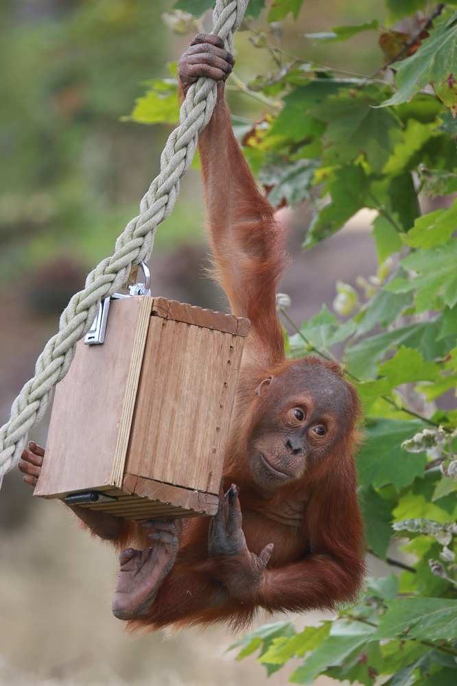 Photograph by Alain Senechal