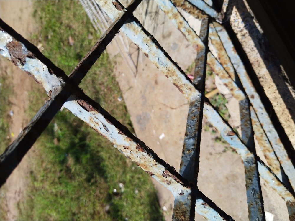 Photo #4308213