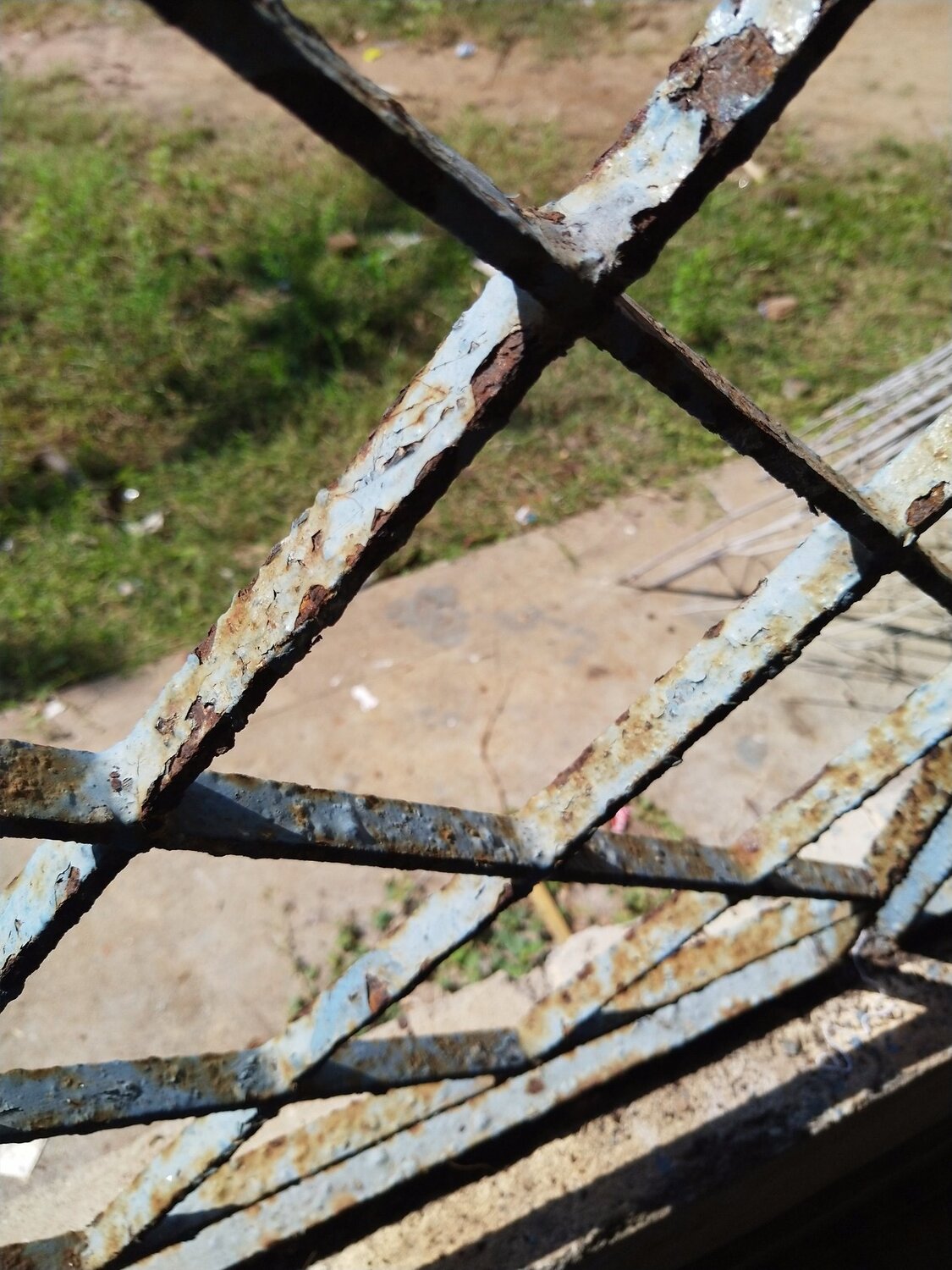 Photo #4308213