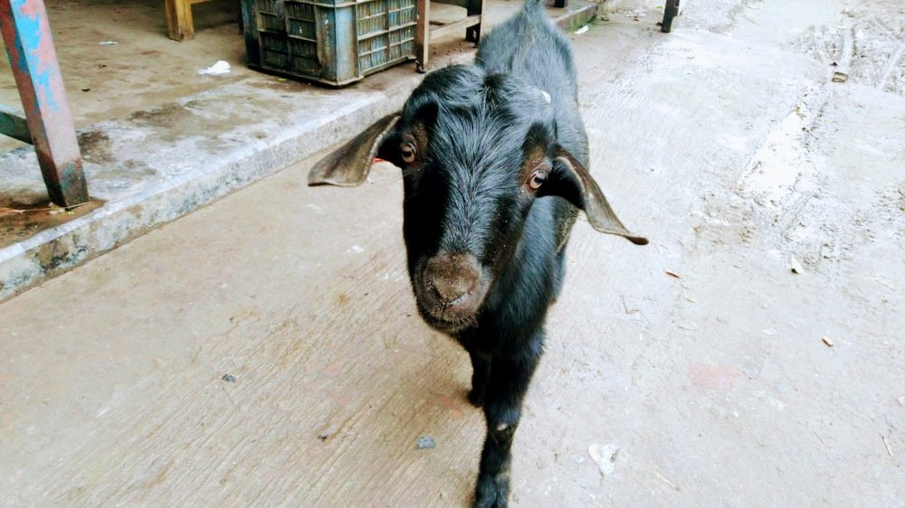 Photograph by Роман Рычков