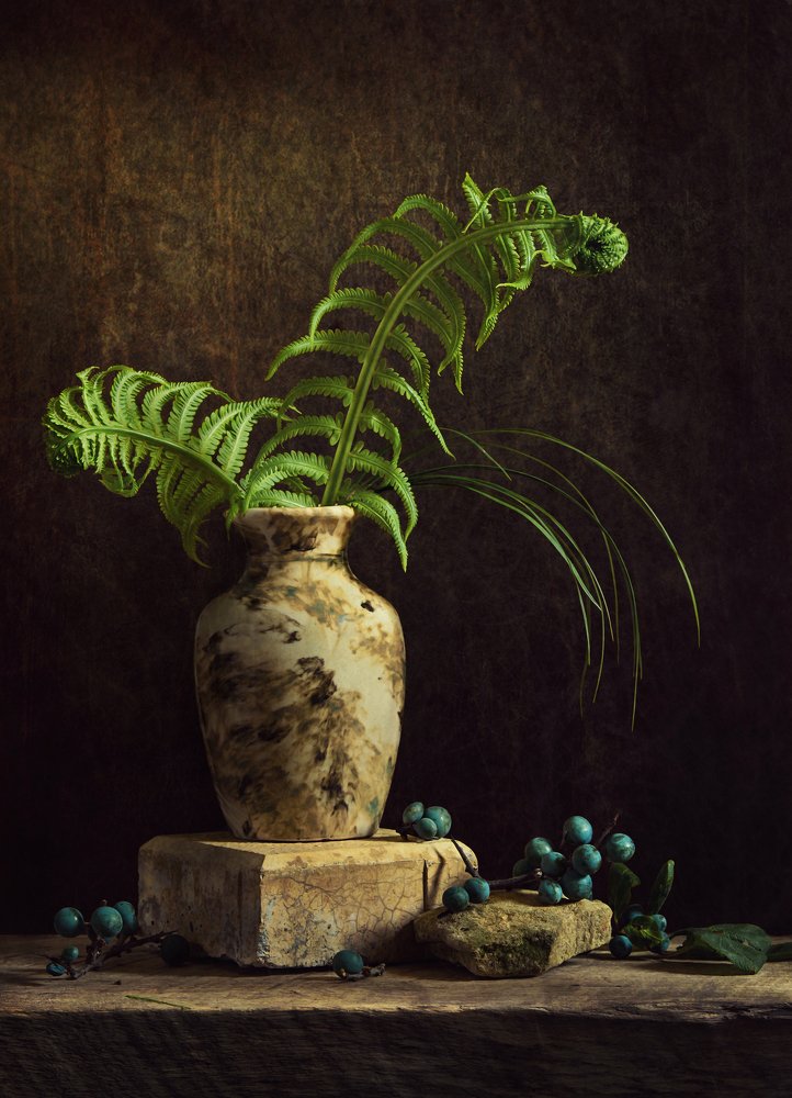 Папоротник