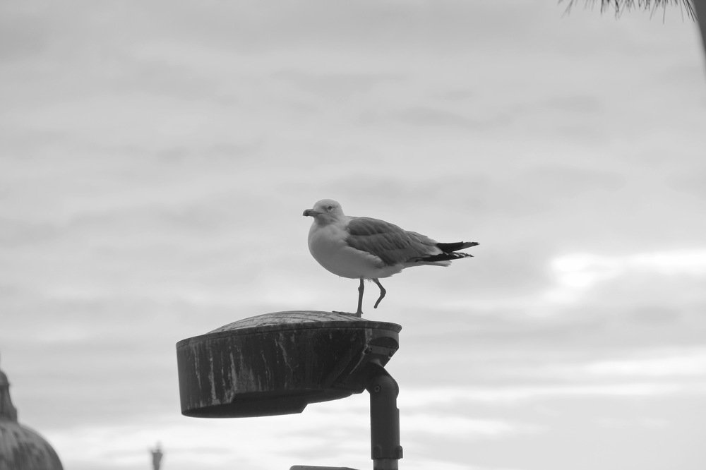 Photograph by Евгений