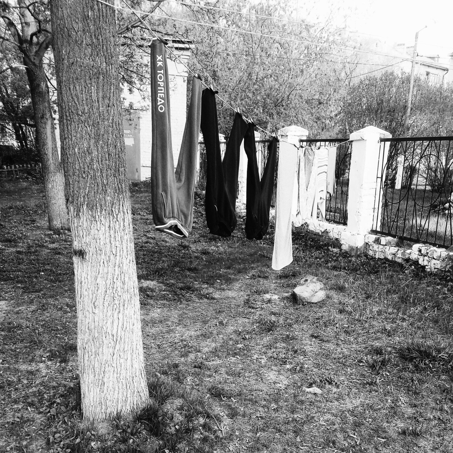 Photo #4308338