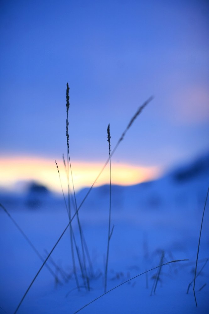 Photograph by Юлия Рыжман