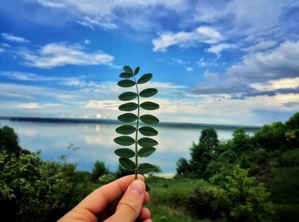 Photograph by Алексей Коренев