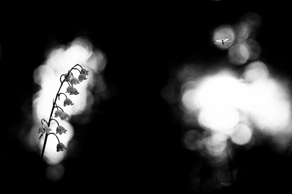 Photograph by Александр Иванов