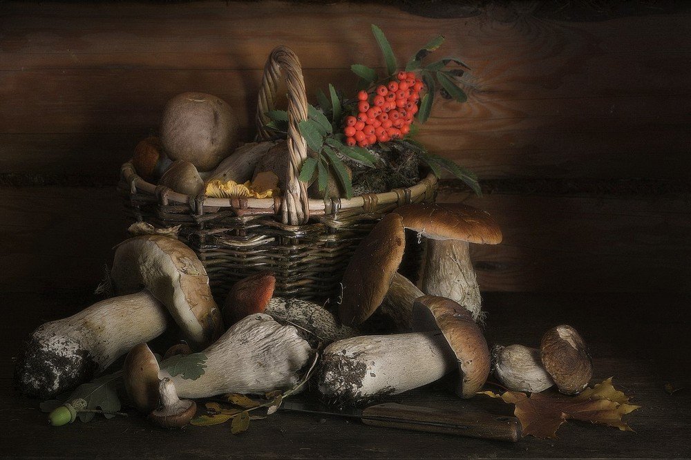 Photograph by Сергей Алексеев