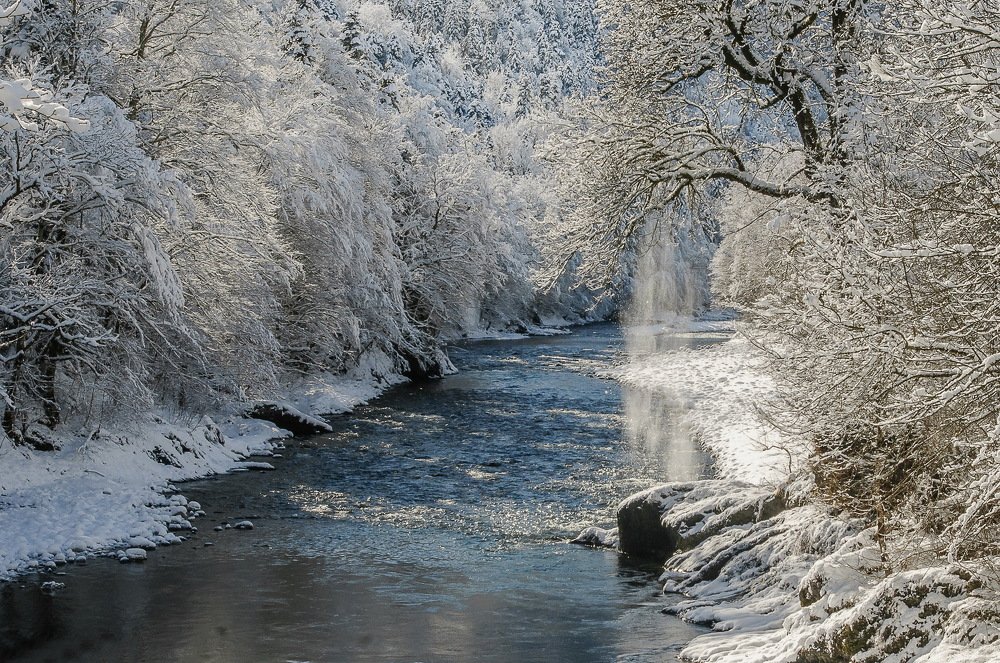 Photograph by Александр Поборчий