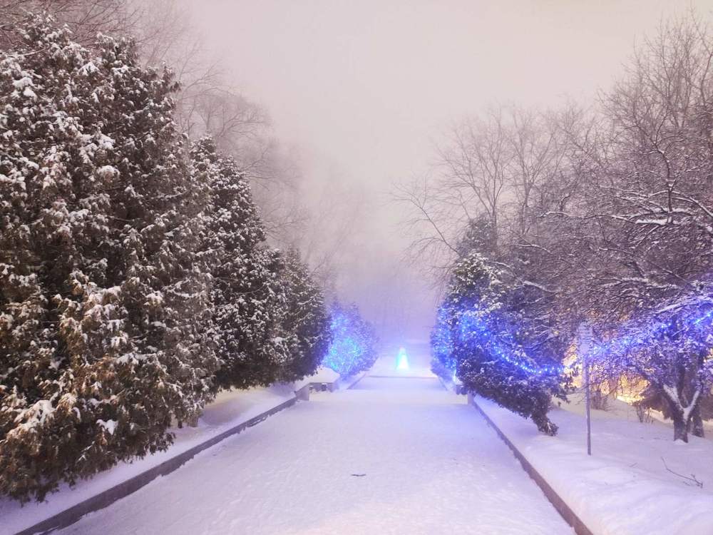 Photograph by Евгений Артемьев