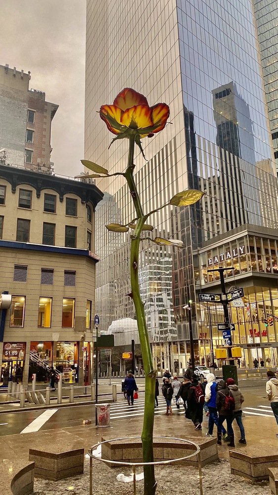 Photograph by Alena Audonina