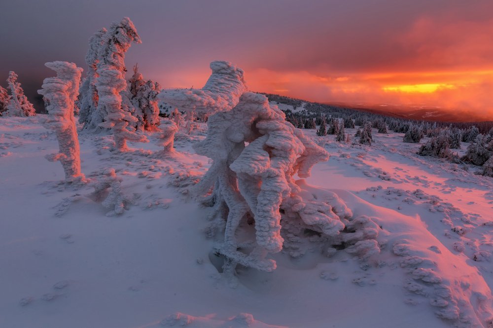 Photograph by Petr Fiala