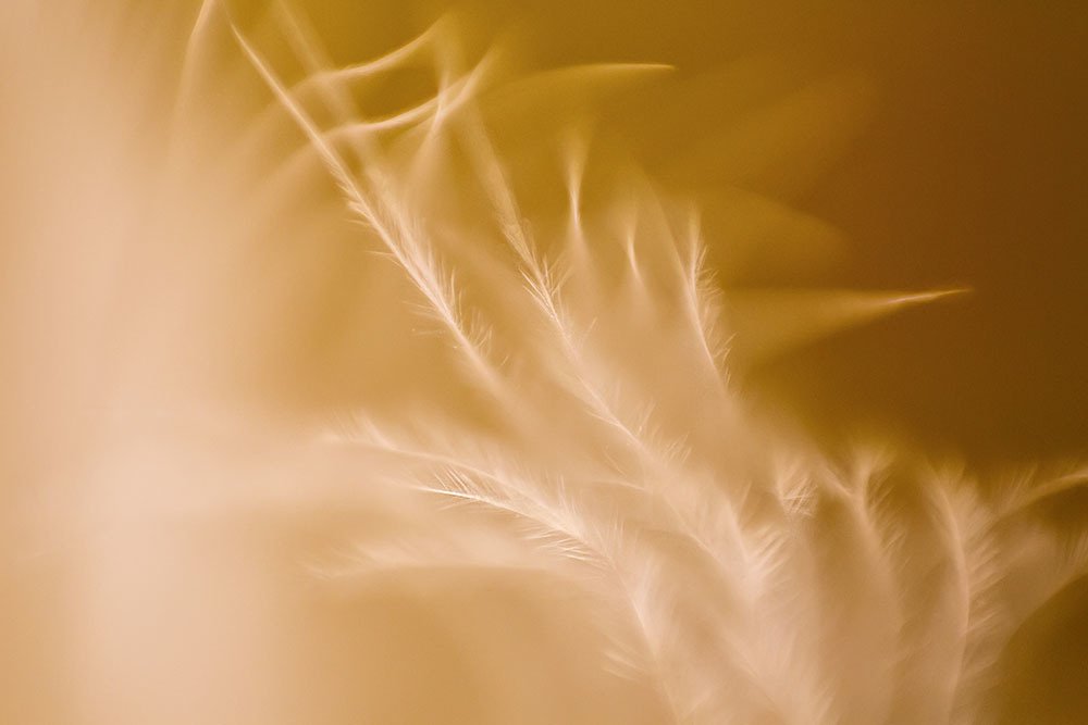 Photograph by Анна Селезнева