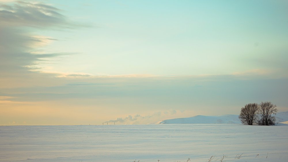 Photograph by Алина КАШКАВАЛ