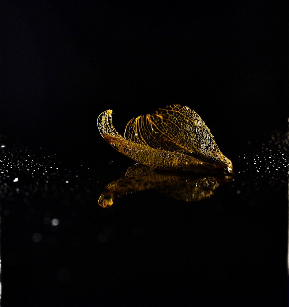 Photograph by Михаил Логвиненко