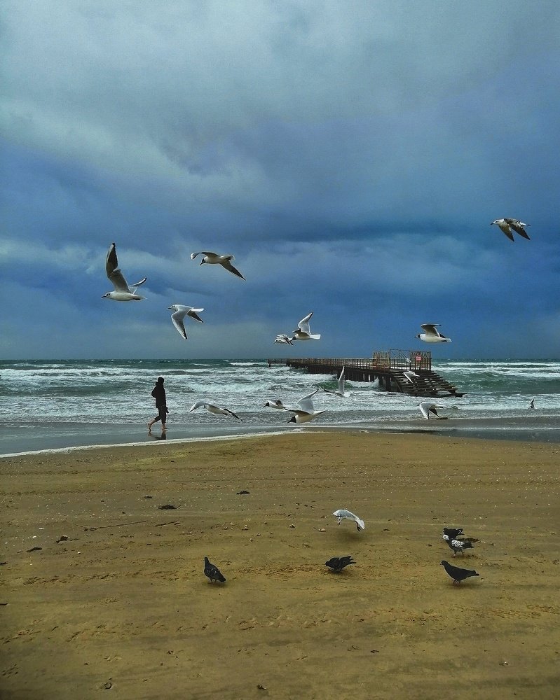 Photograph by Артем Михайличенко