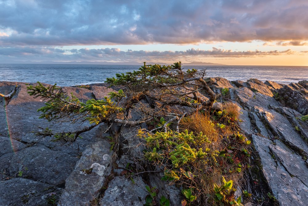 Photograph by Сергей Пестерев